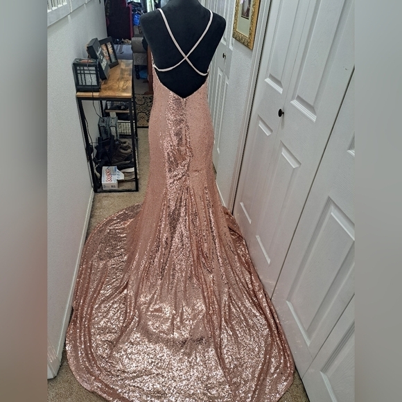 NWT Pink Sequin Formal Gown or Unconventional Bridal Dress With A Train - Picture 15 of 16